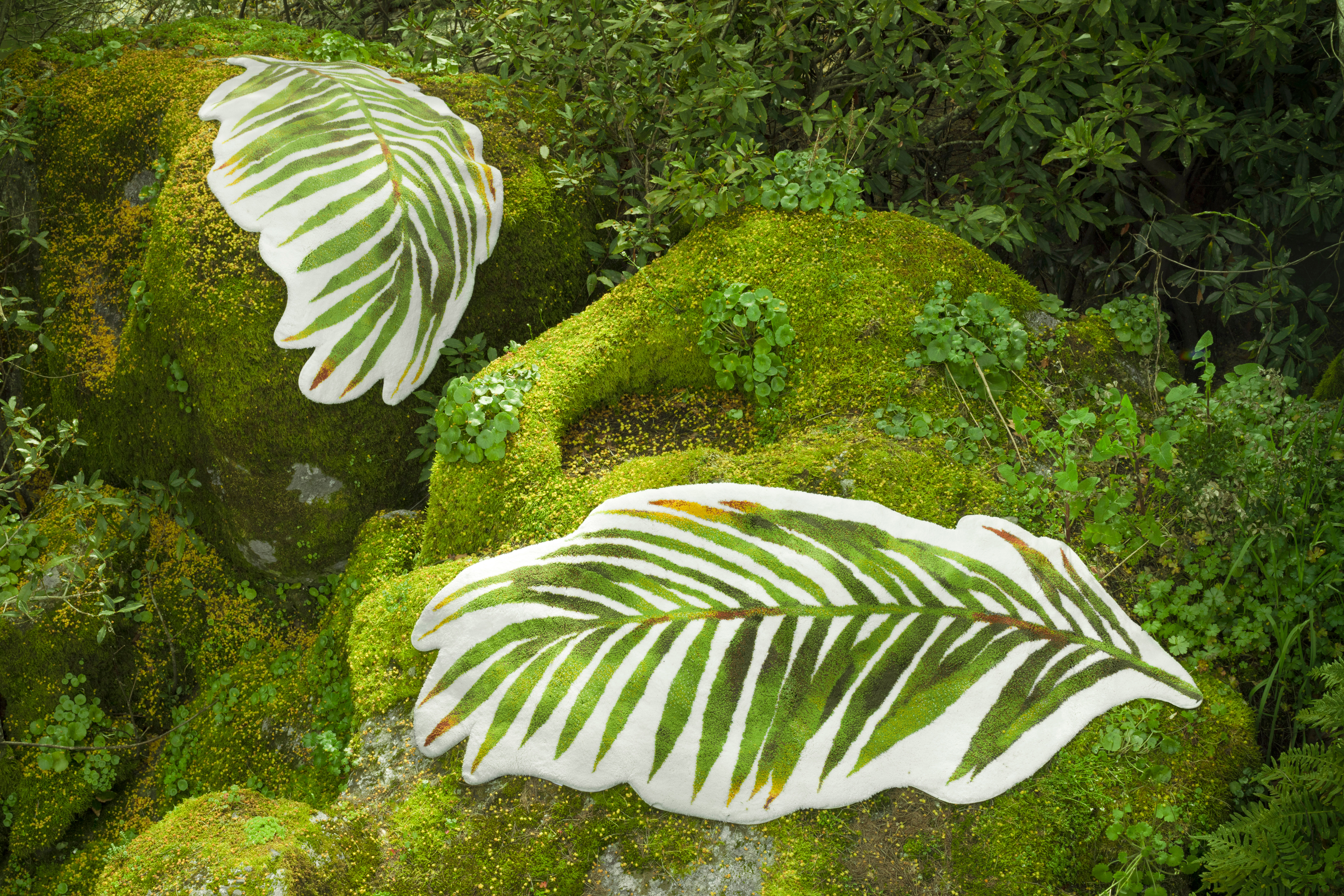 Tapete de Banho Palm - Image 4