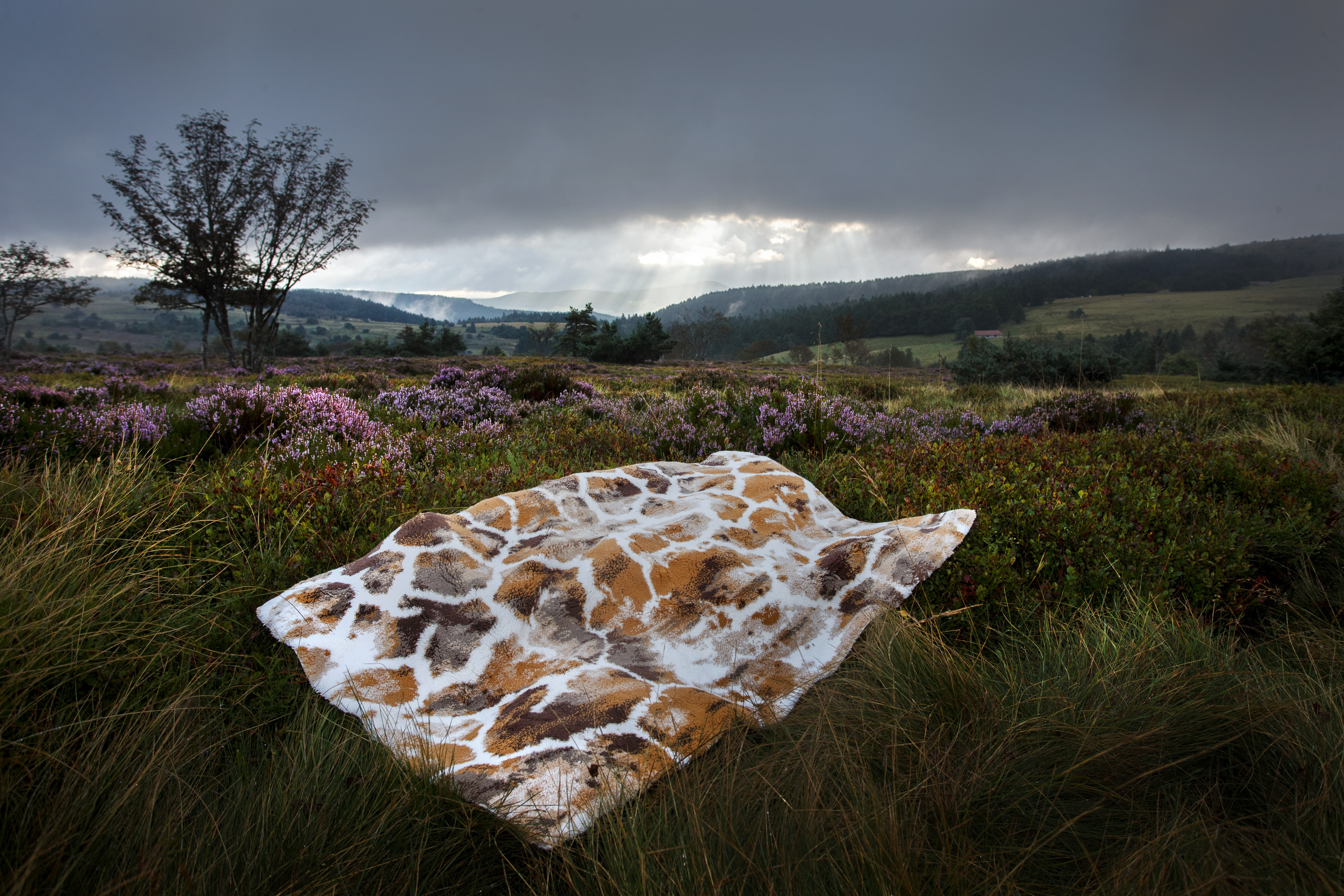 Tapete de Banho Gigi - Image 3